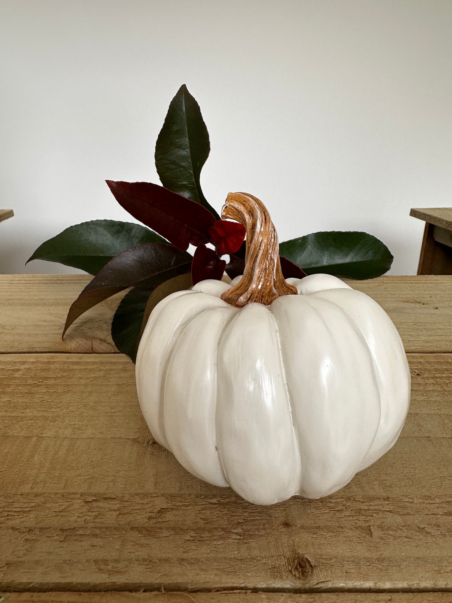 White Textured Pumpkin Ornament with Brown Stalk