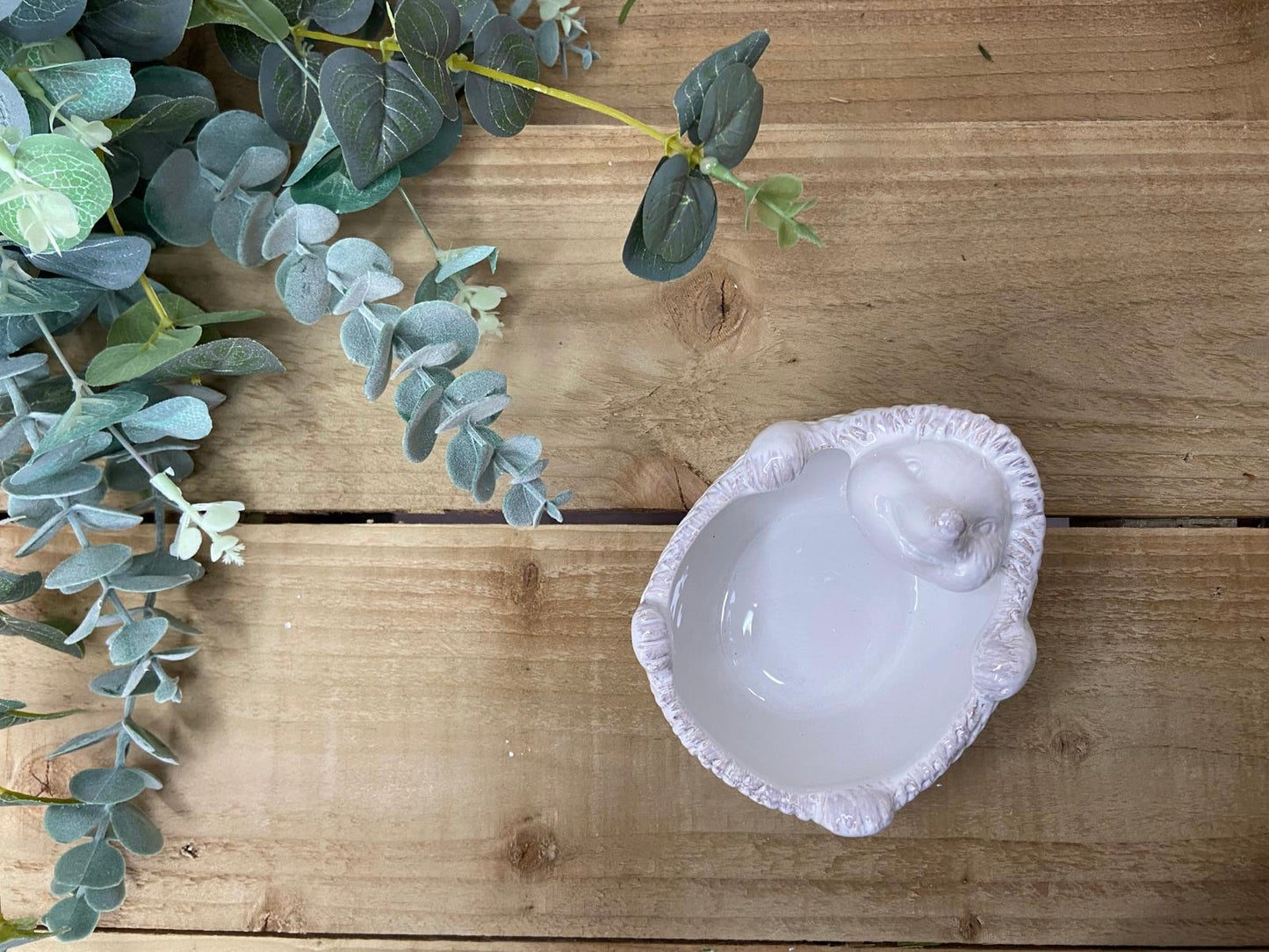 Cute White Ceramic 'Hedgehog on Back' Bowl