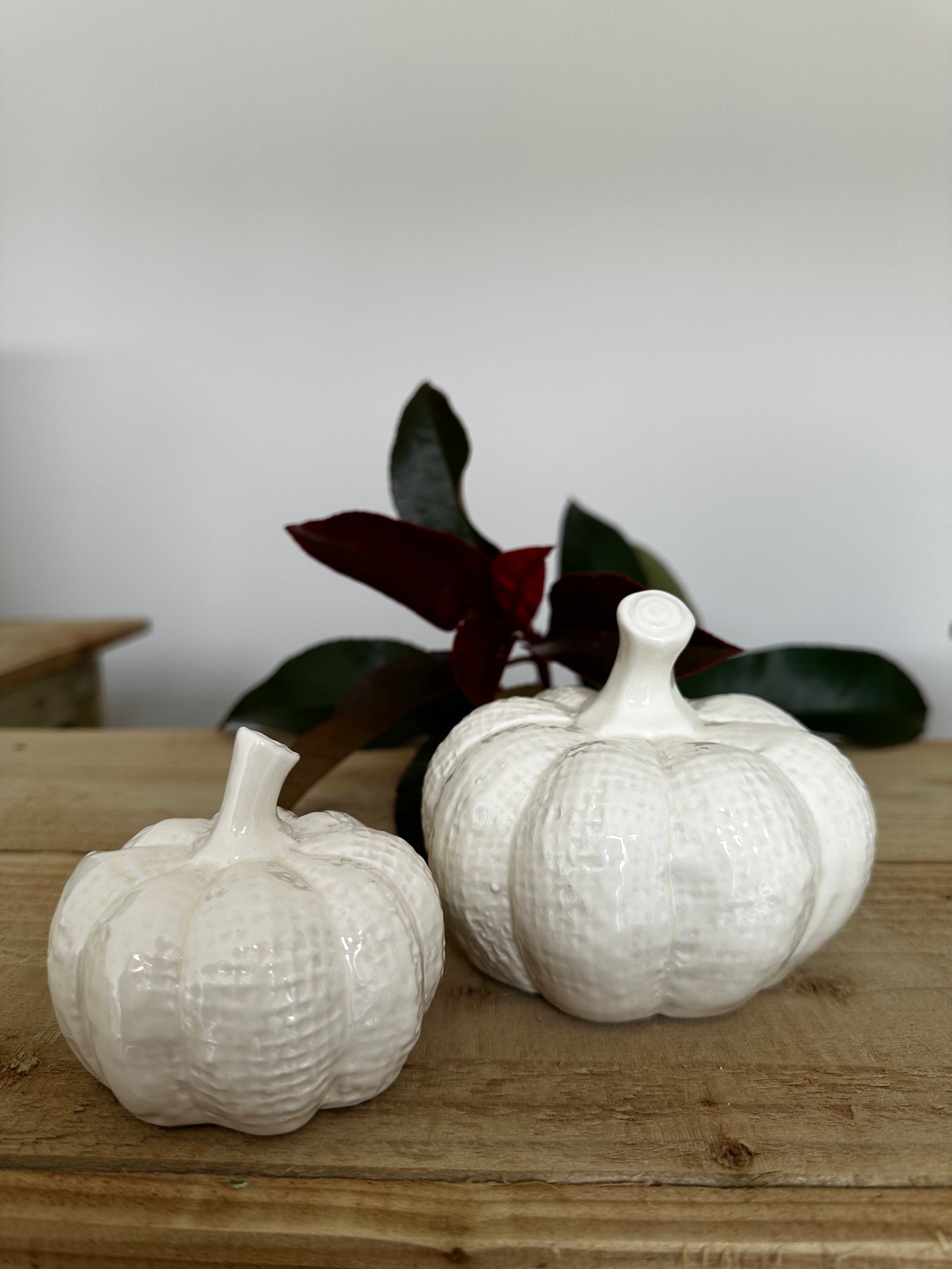 Set of 2 White Textured Pumpkin Ornaments