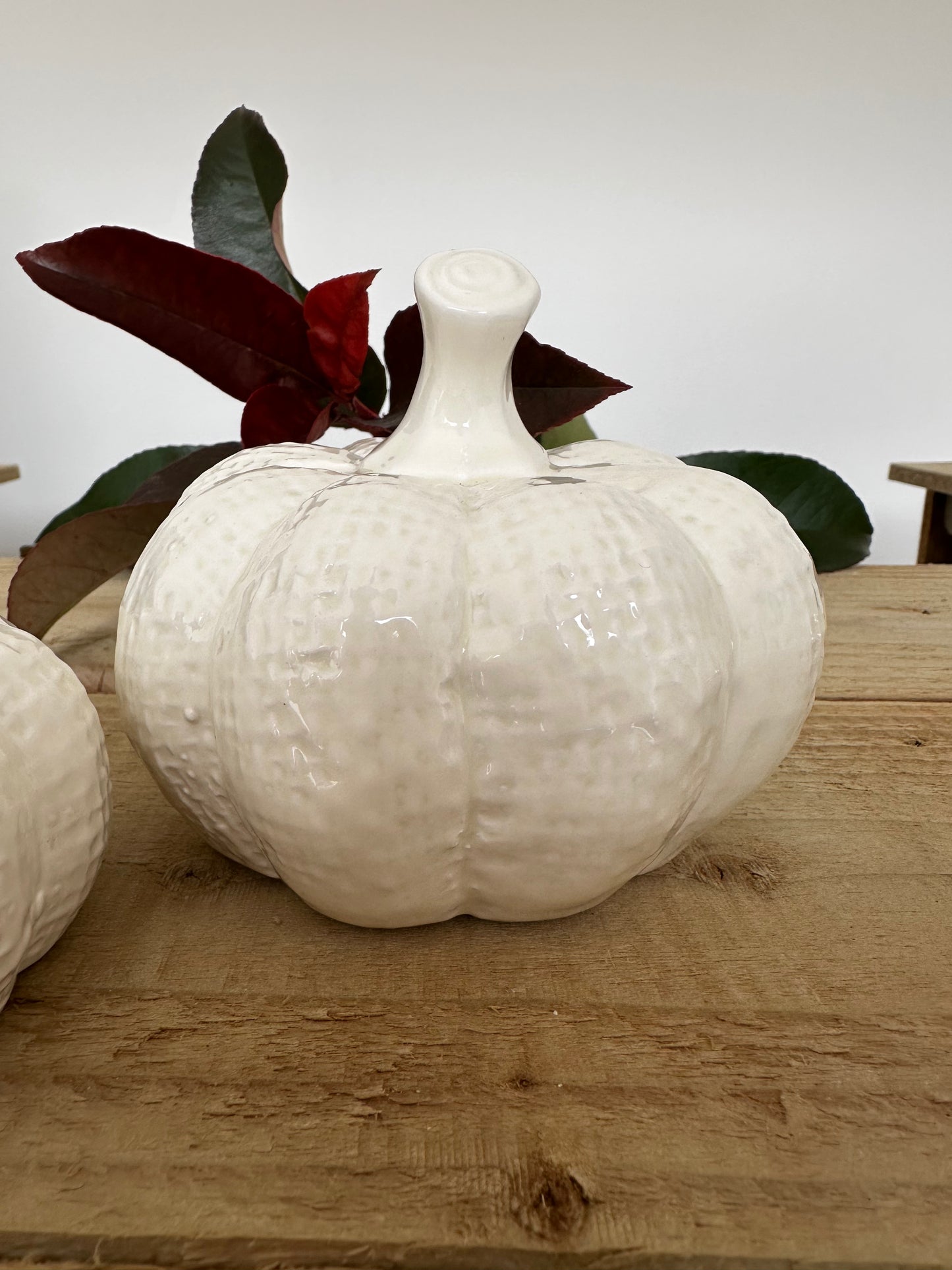 Set of 2 White Textured Pumpkin Ornaments