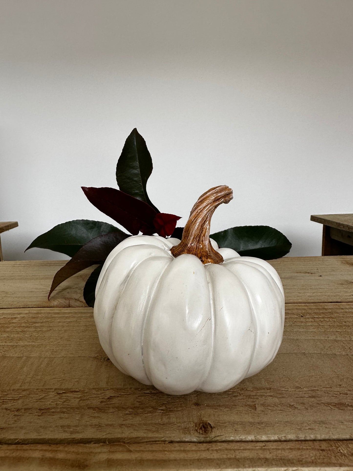 White Textured Pumpkin Ornament with Brown Stalk