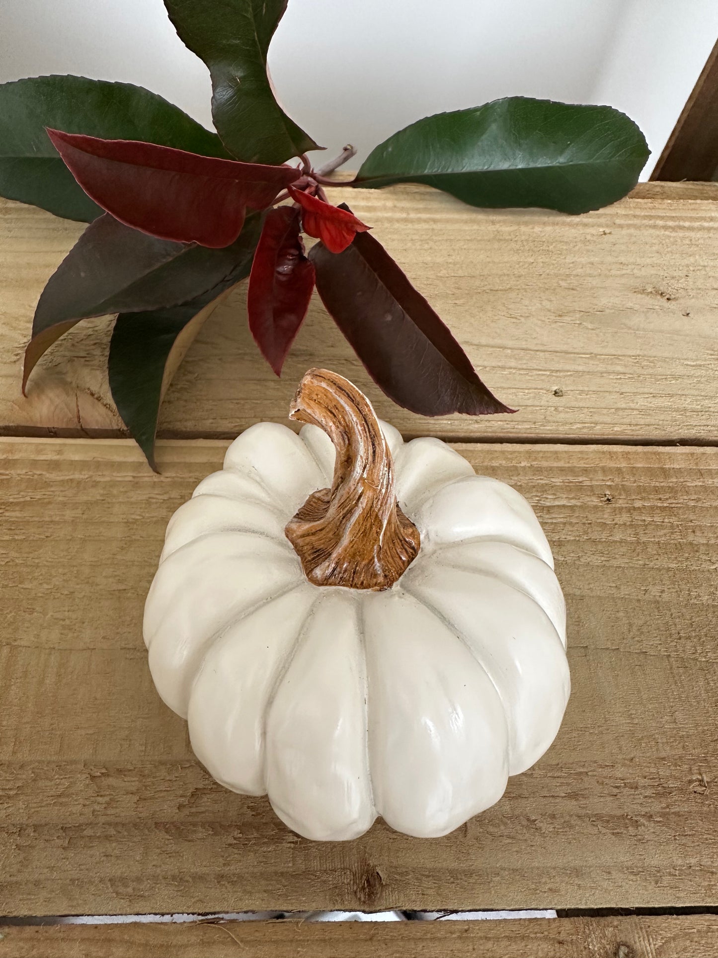 White Textured Pumpkin Ornament with Brown Stalk
